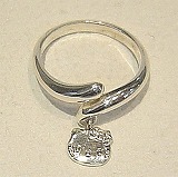 大きい画像で見る