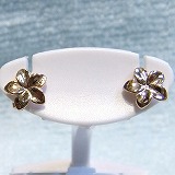 大きい画像で見る