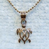 大きい画像で見る