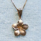 大きい画像で見る