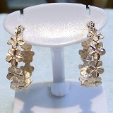 大きい画像で見る