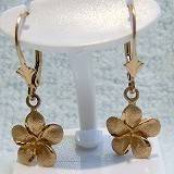 大きい画像で見る