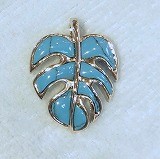 大きい画像で見る