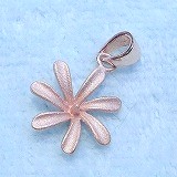 大きい画像で見る