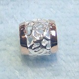 大きい画像で見る