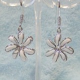 大きい画像で見る