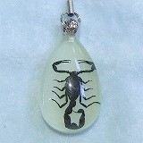 大きい画像で見る