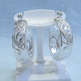 �傫���摜�Ō���