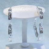 �傫���摜�Ō���