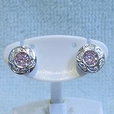 大きい画像で見る