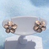 大きい画像で見る