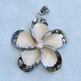 大きい画像で見る