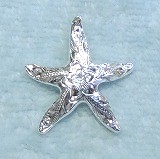 大きい画像で見る