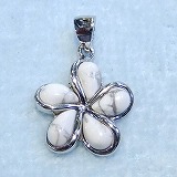 大きい画像で見る