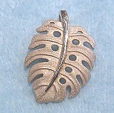 大きい画像で見る