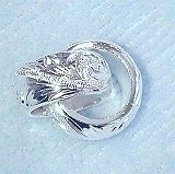 大きい画像で見る