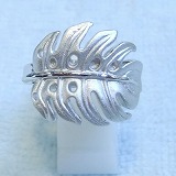 大きい画像で見る