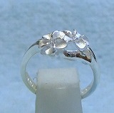 大きい画像で見る