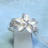 大きい画像で見る