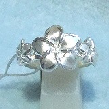 大きい画像で見る