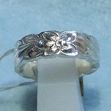 大きい画像で見る