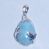 大きい画像で見る