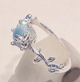 大きい画像で見る