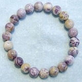 大きい画像で見る