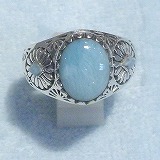 大きい画像で見る