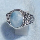 大きい画像で見る