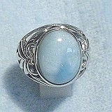 大きい画像で見る