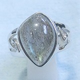 大きい画像で見る