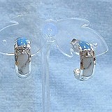 �傫���摜�Ō���