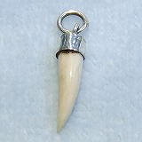 大きい画像で見る