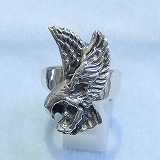 �傫���摜�Ō���