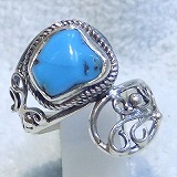 �傫���摜�Ō���