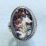 大きい画像で見る