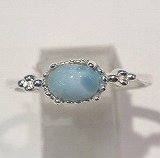 大きい画像で見る