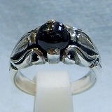 大きい画像で見る