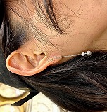 大きい画像で見る